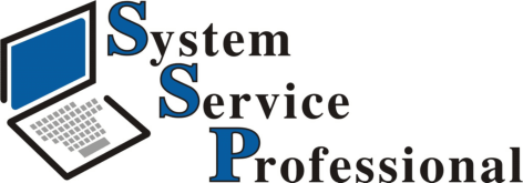 System Service Professional Paul Struck